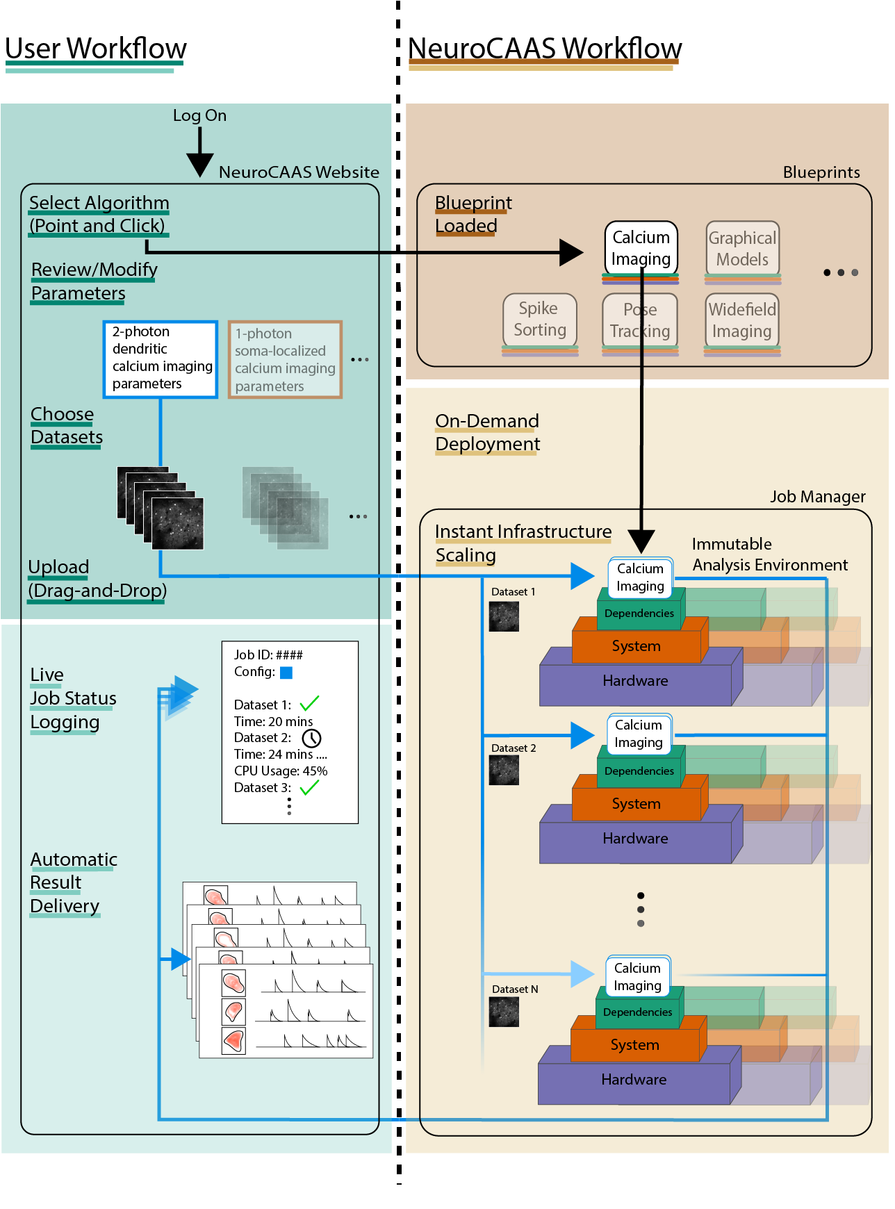 A diagram that outlines the user and NeuroCAAS workflows, and their interactions with one another. Having logged into the NeuroCAAS website, a user can select an algorithm, review or modify parameters, and choose or upload datasets. NeuroCAAS then loads the blueprints, allowing for on-demand deployment. NeuroCASS analyses the user-provided data sets in an immutable environment and allows for instant infrastructure scaling. The user is provided with live job status logging and automatic result delivery.